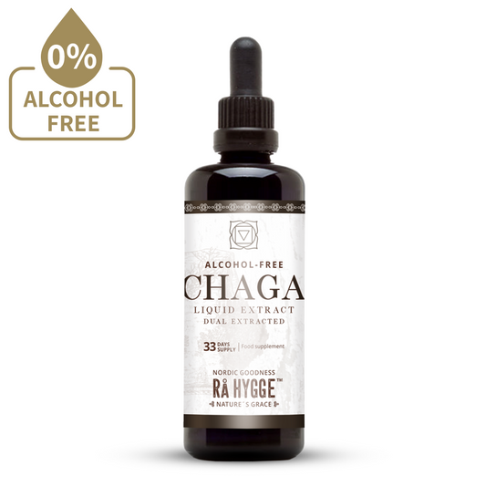 Alcohol-Free Chaga Liquid Extract 100 ml BIO/ 3.38 fl. oz.