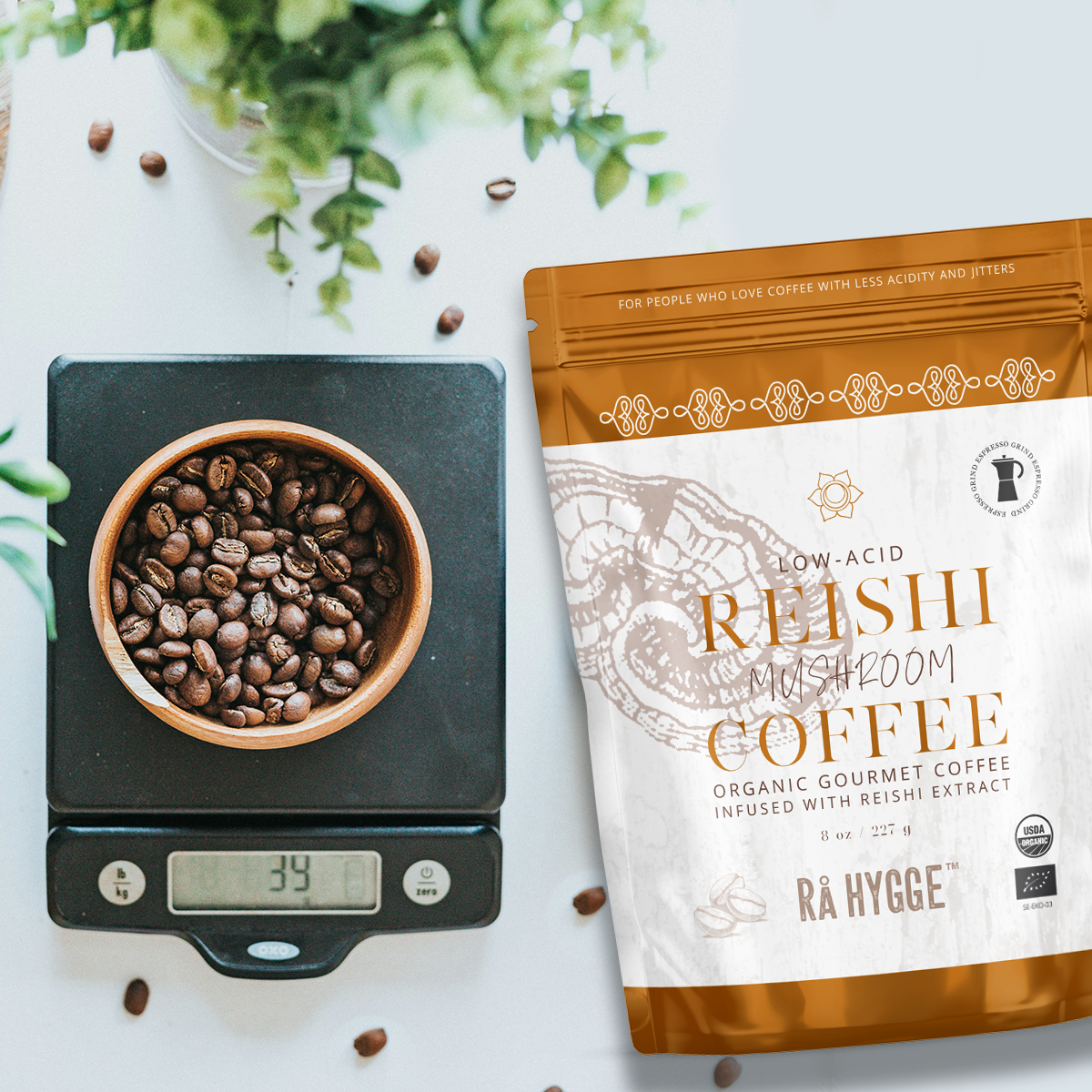 Reishi Mushroom Coffee Espresso ground 227 g / 8 oz