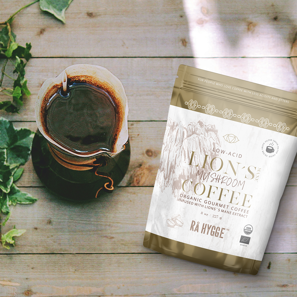 Lion's Mane Specialty Coffee Filter Grind 227 g / 8 oz